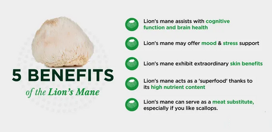 What is Lion's Mane Mushroom and How Does it Work?
